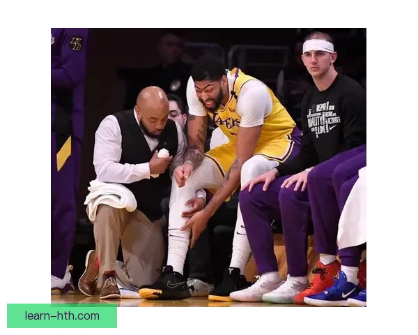 湖人队签约新援加强阵容 詹姆斯与戴维斯携手迎接新赛季挑战